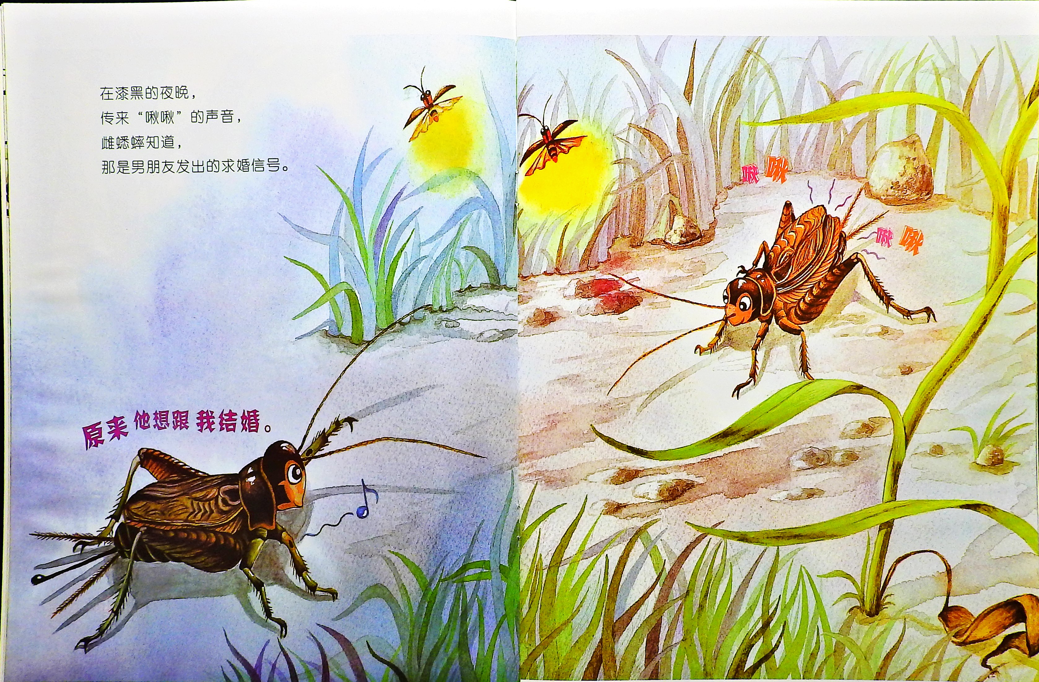 昆虫也有耳朵吗？ (07),绘本,绘本故事,绘本阅读,故事书,童书,图画书,课外阅读